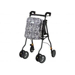 EBY wV[ W lCeBuO[ H1W-NGY [J[