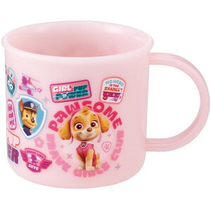 XP[^[ KE4AAG pEpg[ GIRL ٓ vRbv RۉH