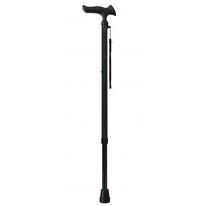 tWz[ 邪 I LkSEMp XgCv WB3930 [J[