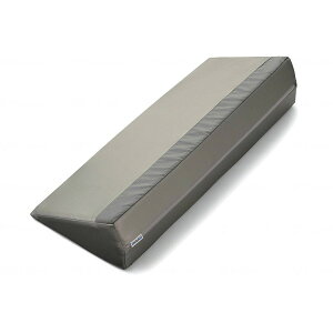 CmAbNrO T[eBpbhPRO Ag Vo[ 600 DSP-600 [J[