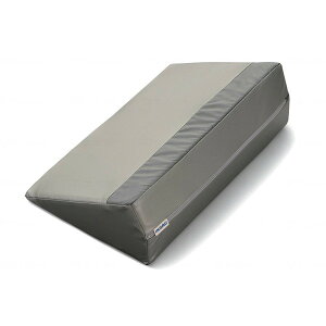 CmAbNrO T[eBpbhPRO Ag Vo[ 400 DSP-400 [J[