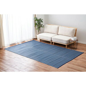  18912510 􂦂邢J[ybg CA {1 95.5×191 u[ [J[