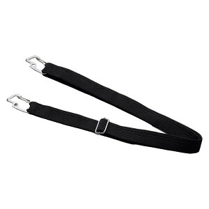 DAHON INTERNATIONAL Rack Strap