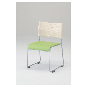 ACX`gZ X^bLO`FA w: :U[ zCg/O[ ASL-110PV-W/GR 1r [J[