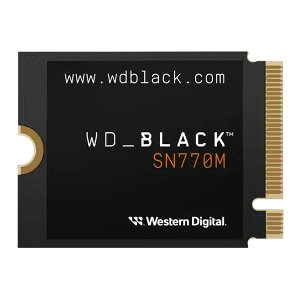 WESTERN DIGITAL WDS100T3X0G WD Black SN770M NVMe SSD [M.2 SSD (1TB)] AEgbg GNv