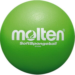 e hbW{[ 21cm \tgX|W{[ STS21