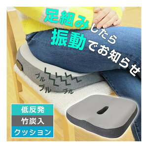 THANKO �U���ł��m�点���g�ݖh�~�N�b�V���� ANTCSHSGY