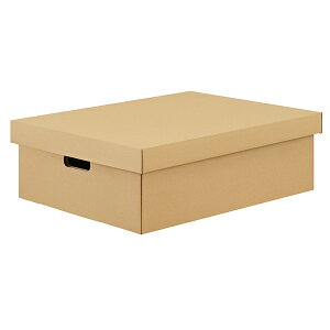 ACXI[} DB-490 Ntg i{[[P[X 2Zbg [J[