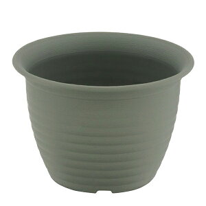 xXgR MA-3257 t[O|bg  v^[ 4 XO[