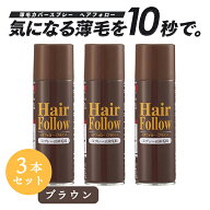 【お得な3本セット】 増毛スプレー ヘアフォロー ブラウン 150g 薄毛隠し 薄毛対策 ボリュームアップ ス…
