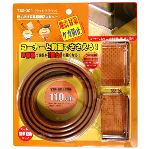 aCY TSS-001 ~Ƌ]|h~Zbg CguE