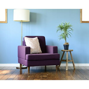 RP FG-DRCN70 [tFCNO[ hZi]