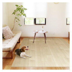 aOrA ybgO PRUG-01 WH 180×270cm zCg