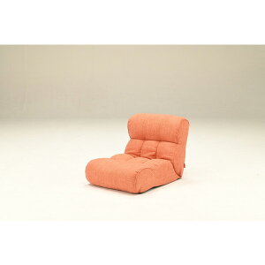 쏊 sObgJR BS OR [֎q] [J[