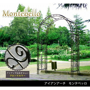 Z܂X^C ACAA[` exb ubN SST-IPN-7973 [J[