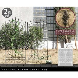 Z܂X^C ACA[YtFX [^Cv 2g zCg RS012L-2P-WHT [J[