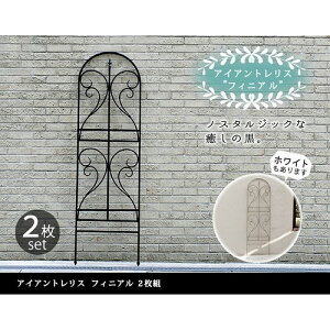 Z܂X^C ACAgX tBjA 2g ubN IF-FN7950-2P-BLK [J[