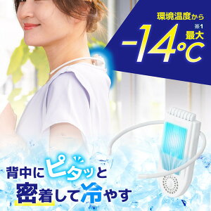 fBAœW NX^ TBS TR[ pv[gŔwXbL ZiN[Plus @ 񂩂 |t@ USB[d MǑ΍ ΍ ObY w  THANKO SENA24HWH