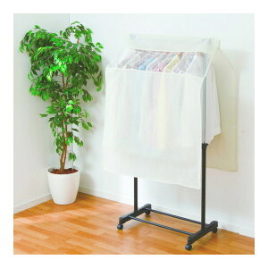 DCM nK[bNJo[F-HCC02 [J[