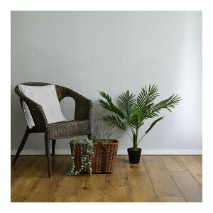 RP tFCNO[ AJV 75cmFG-ARECA75 [J[