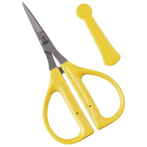 ߐ FB201F [|ENtgESe[vp͂ (Lbvt)]