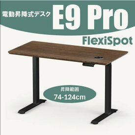 Flexispot E9PROB ブラック [電動昇降式デスク]