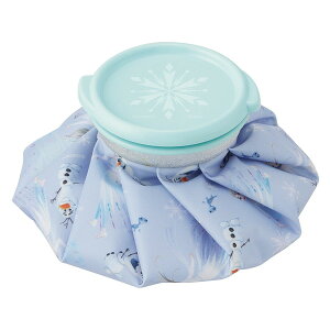 スケーター ICB1 アナと雪の女王2 アイスバッグ S 氷嚢 ディズニー