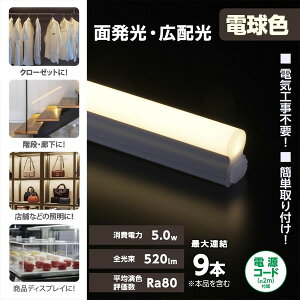 �I�[���d�@ LT-FLE300L-HN [LED�C�[�u���C�g�X���� (���C�g�o�[ 300mm �d���F)]