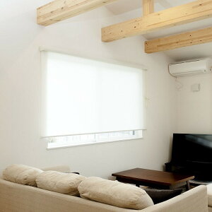 Fullness L3559 RS�G�N�V�� 80X220 F OW �h���I�t�z���C�g [�J�o�[�t���[���X�N���[�� �h�����n�^�C�v 80×220cm] ���[�J�[����