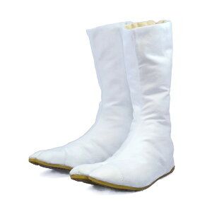 ͉ WF12 zCg 25.5 [n ͉zCg 12]