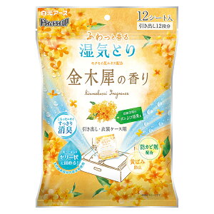 A[X hC&hCUP oEߑP[Xp ؍҂̍ []