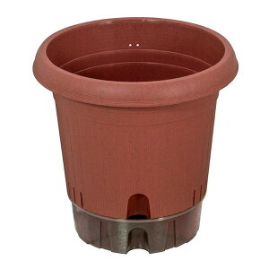 xXgR MA-4210 eRb^ |bg 360^ [Aؔ]