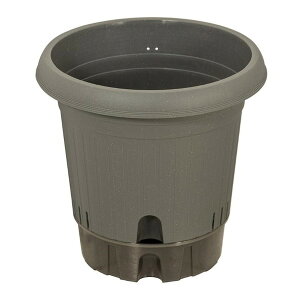 xXgR MA-4212 O[ |bg 360^ [Aؔ]