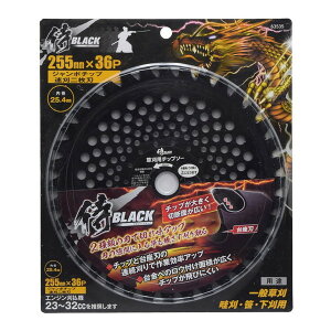 V 806063535 BLACK [`bv\[ W{`bv2n 255×36P]