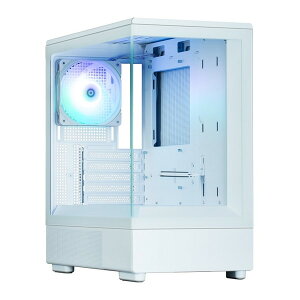 ZALMAN P10 WHITE zCg [PCP[X]