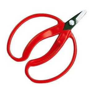 AXR[|[V 400 咼 ܓ [݂̎]