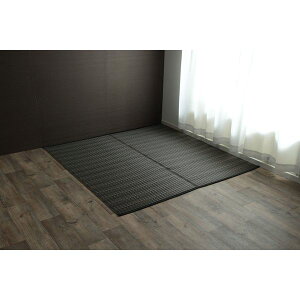 �C�P�q�R�E�R�[�|���[�V���� 1090031062102 �􂦂� PP�J�[�y�b�g �o���J���u���E�� �{��10�� ���[�J�[����