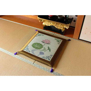 CPqRER[|[V 1131860013502 Y ܐD O(O) w@̉ԁxzc70×70cm [J[