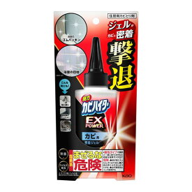 花王 強力カビハイター EXPOWER カビ用密着ジェル 本体 200g