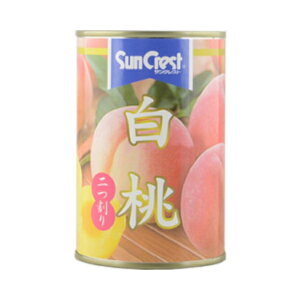 oH TNXg  425g x24 [J[ Mtg v[g