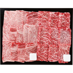 䋍 [XE ēHה׃Zbg v500g [J[ Mtg v[g