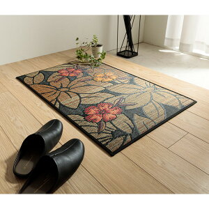 CPqRER[|[V 1080090034604  }bg   { Y  Rf ԕ _ ubN 60×90cm [J[