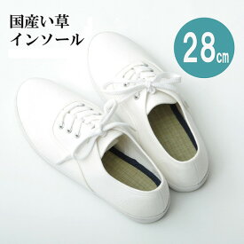 イケヒコ・コーポレーション 1120290190419 インソール メンズ 消臭 抗菌 『い草インソール』 ネイビー 約28cm メーカー直送