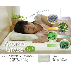 CPqRER[|[V 1120040016301  ܂ s[ n A} wA}OX XyA~g ڂݕx 35×50cm t :100% [J[