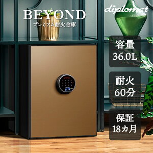  ω΋ BEYOND S[h wF A[t 1ԑω  CeA [ ZLeB ƒ e36L 60kg Jݒu [J[ BY500CG diplomat