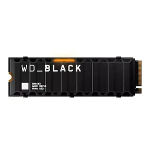 WESTERN DIGITAL WDS400T2XHE [SSD]