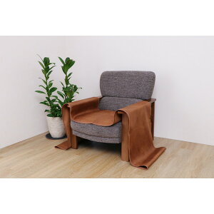 CPqRER[|[V 1161000068208 \t@[Jo[  h~ R VɂȂɂ ɂ uE 50×270cm [J[