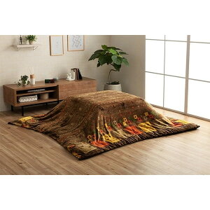 zcJo[ CPqRER[|[V 1171710068060 Jo[ ` Pi 􂦂 Mbx  uE 195×195cm [J[ 