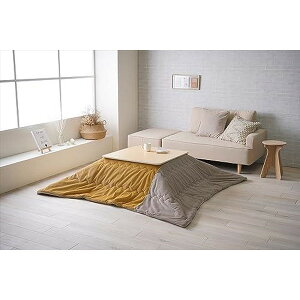 zc CPqRER[|[V 1182050290111 Pi Vv ݃J[ n CG[ ` 190×190cm [J[ g