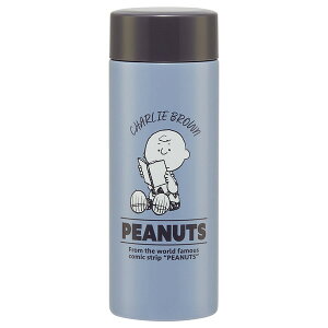 XP[^[ STYL3 Xk[s[ obW }O{g 300ml y XeX 